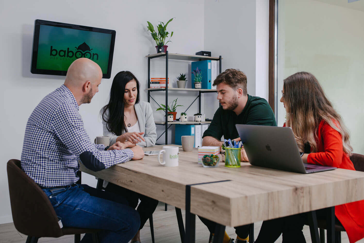 Echipa Baboon în meeting